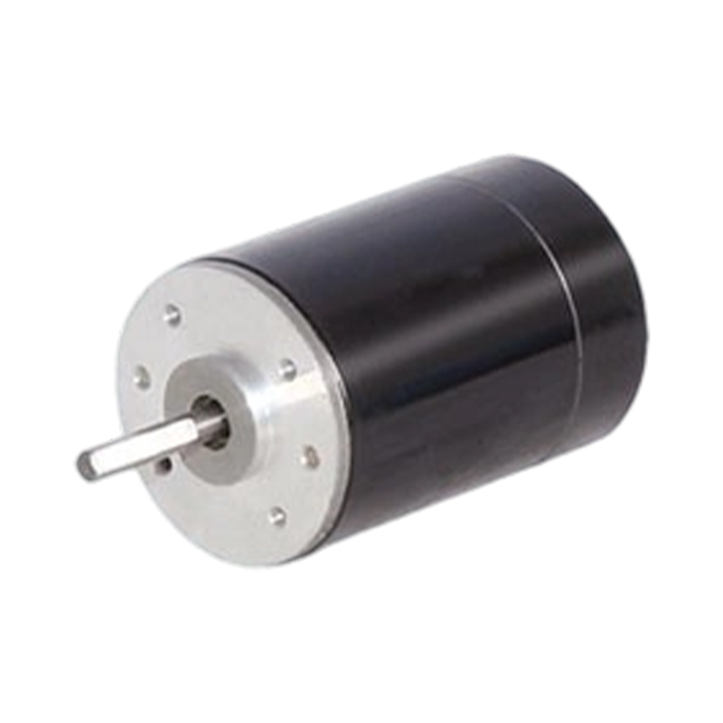 38ZY63 38mm 24V/48V Motor DC escovado com ímã permanente